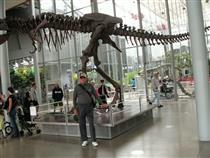 Benjamin Troutman - Daddy Tucson, USA