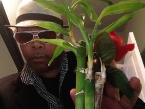 Bradley Travis - Daddy Cardiff, United Kingdom