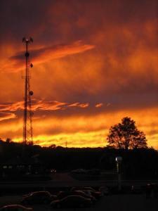 Henry Layne - Daddy Tampa, USA