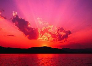 Jonathan Patino - Daddy Austin, USA