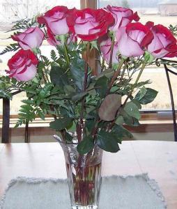 Joshua Jones - Daddy Fresno, USA