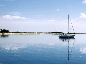 Kevin Hairston - Daddy Edinburg, USA