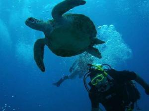 Mark Green - Daddy Edinburgh, United Kingdom