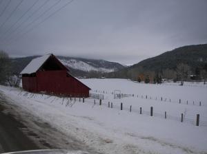 Reginald Fernandez - Daddy Pittsburgh, USA