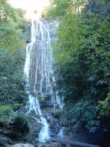 Robert Denny - Daddy Springfild, USA