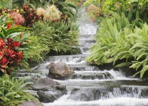 Timothy Bowman - Daddy Leeds, United Kingdom